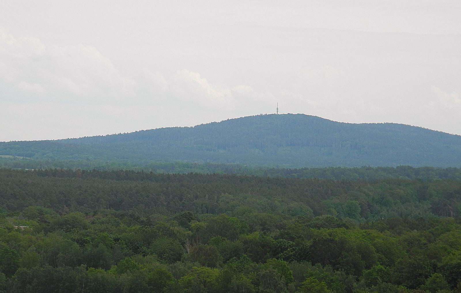 Blick vom Haselbergturm über geschlossenen Wald bis zum Keulenberg am Horizont.