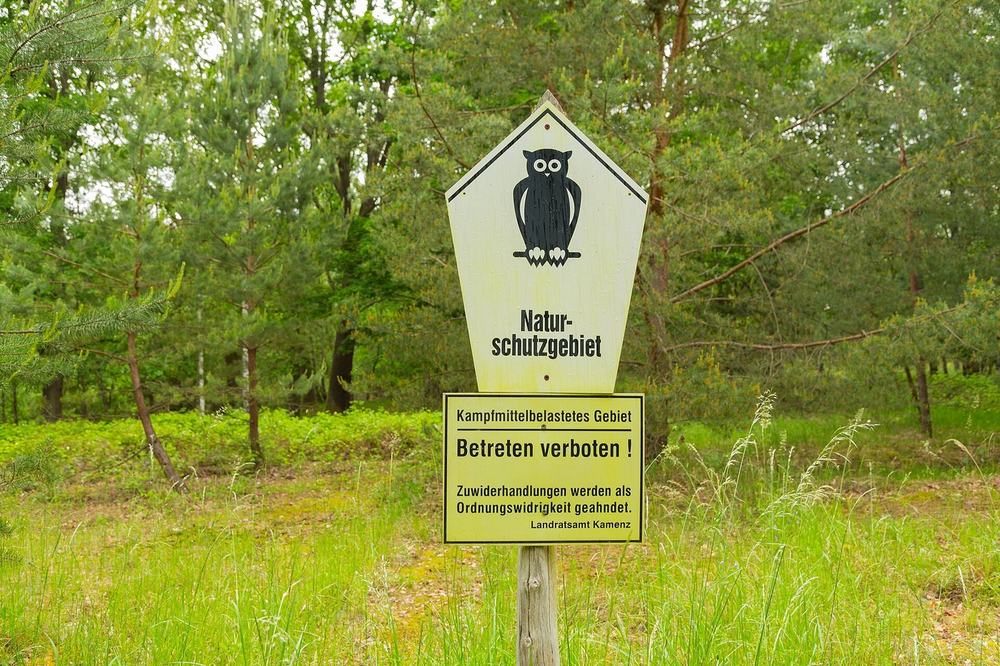 Schild am Naturschutzgebiet mit Hinweis auf Kampfmittelbelastung und Betretungsverbot, dahinter junger Wald.