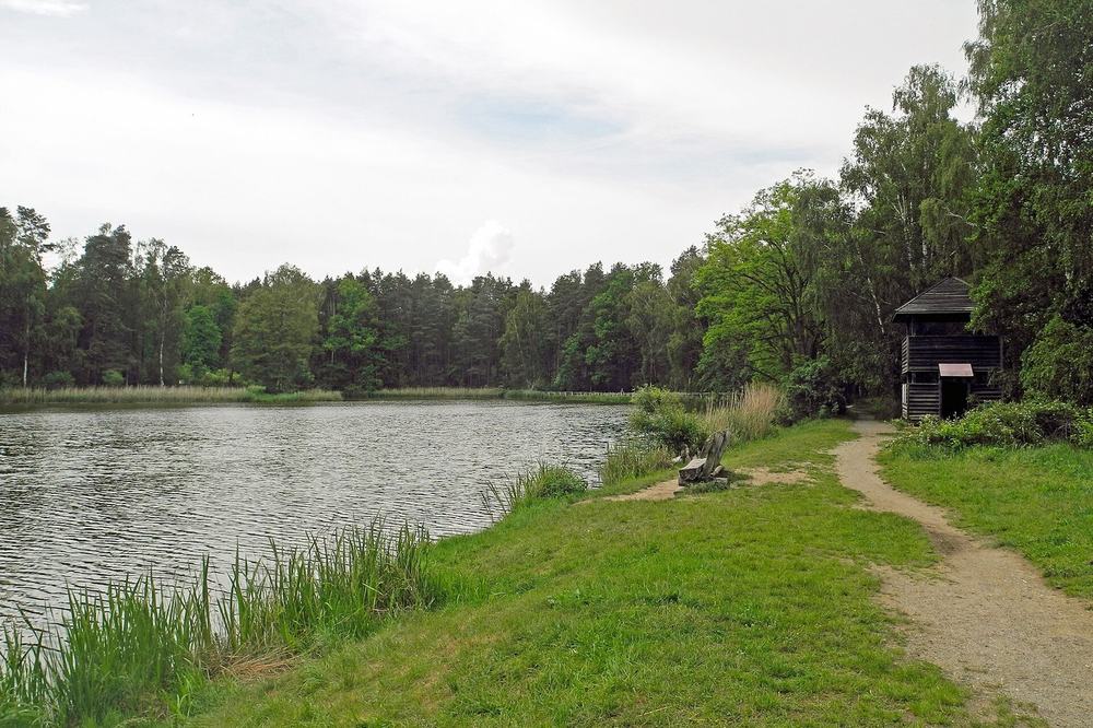 See der Freundschaft mit Uferweg, Holzbank und kleiner Hütte am Waldrand.