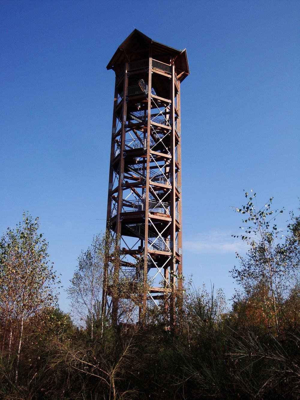 Der hölzerne Haselbergturm vor blauem Himmel, davor junge Birken.